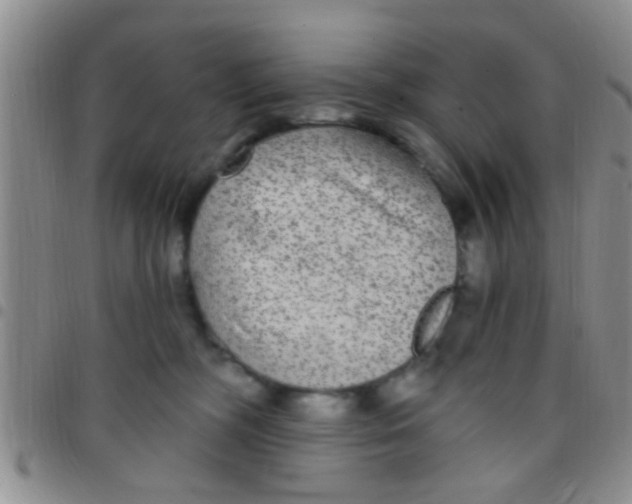 X0000097510326200803142047