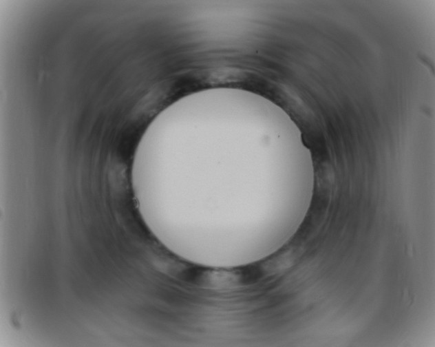 X0000097510327200803142047