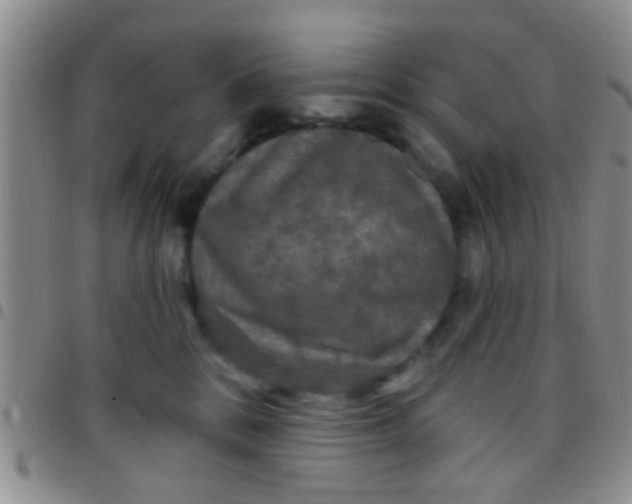 X0000097510328200803142047