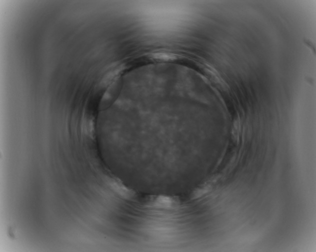 X0000097510330200803142047