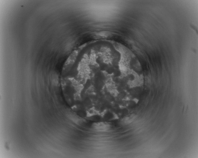 X0000097510331200803142047