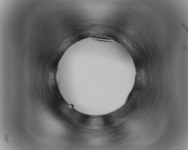 X0000097510333200803142047