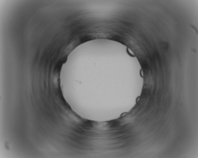 X0000097510334200803142046