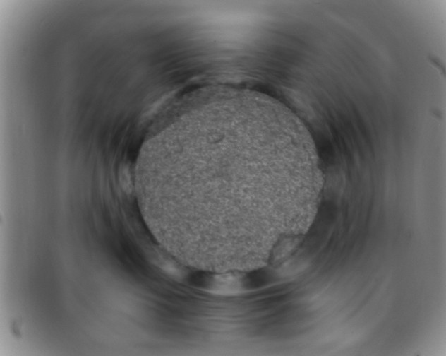X0000097510335200803142046