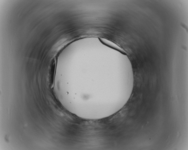 X0000097510338200803142046