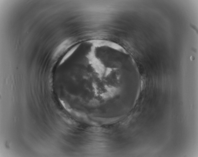 X0000097510339200803142046