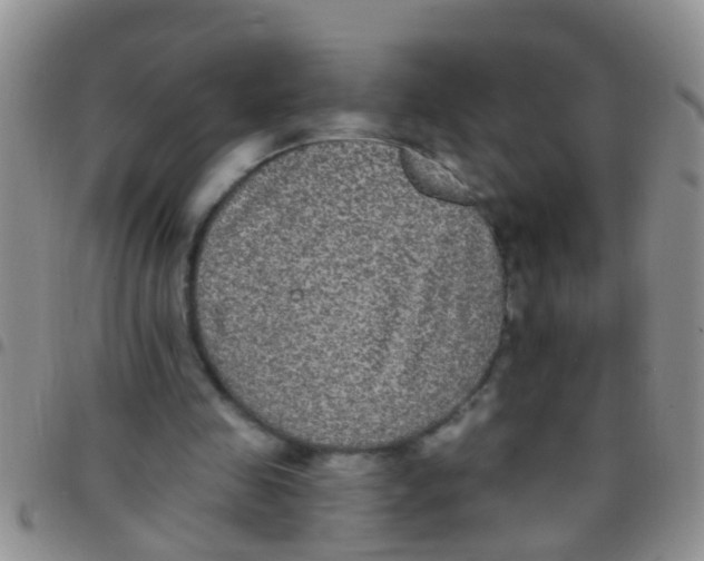 X0000097510341200803142046