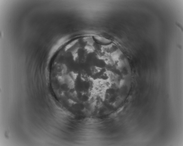 X0000097510343200803142046