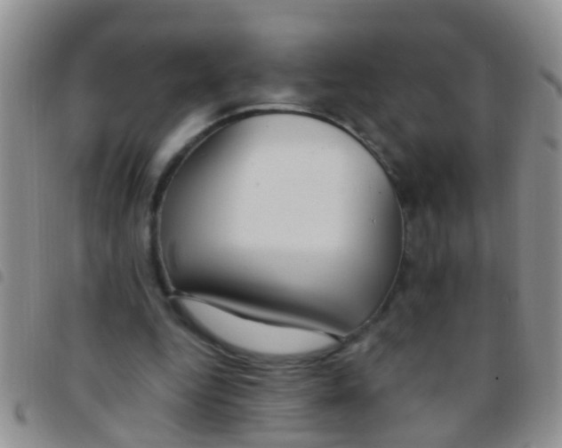 X0000097510344200803142046
