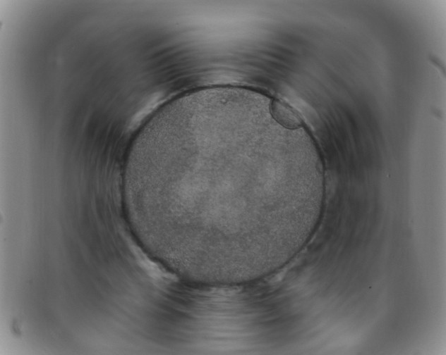 X0000097510345200803142046