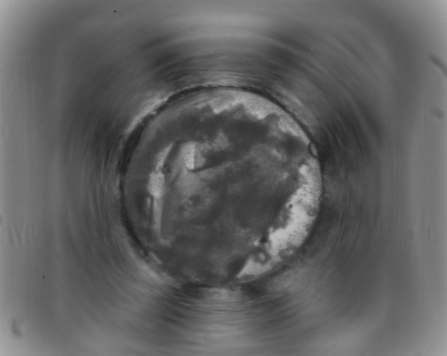 X0000097510347200803142046