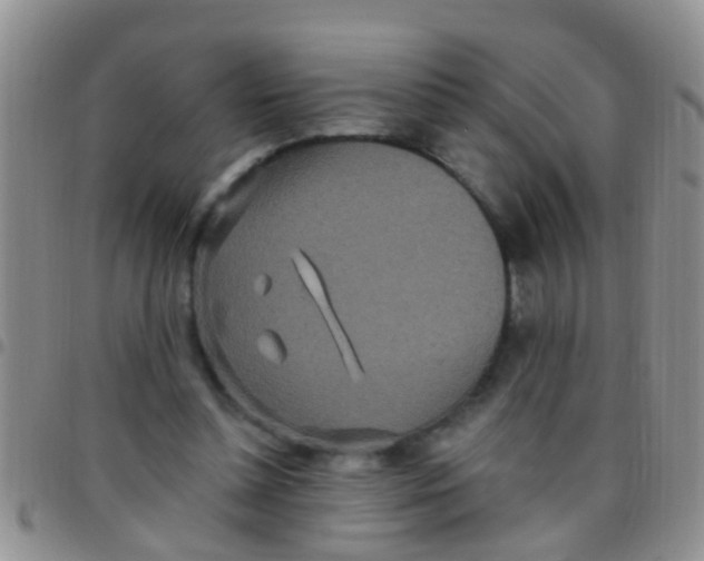 X0000097510348200803142046