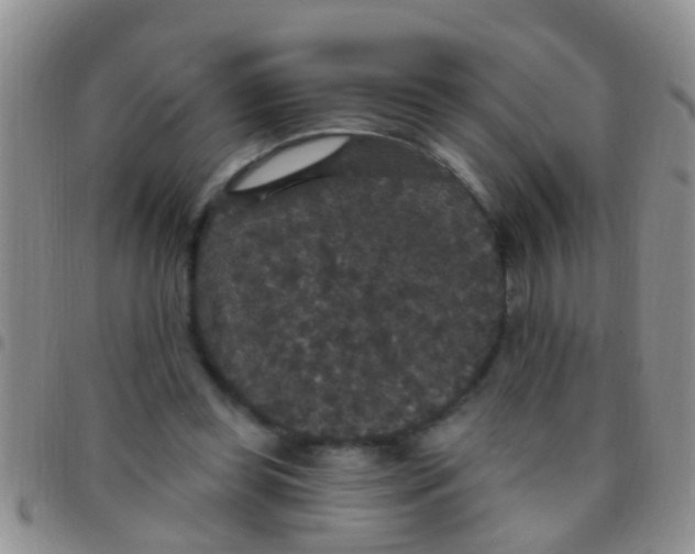 X0000097510349200803142046
