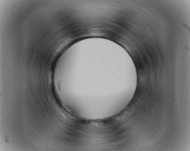 X0000097510350200803142046