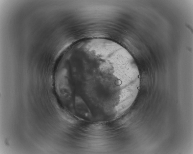 X0000097510351200803142046