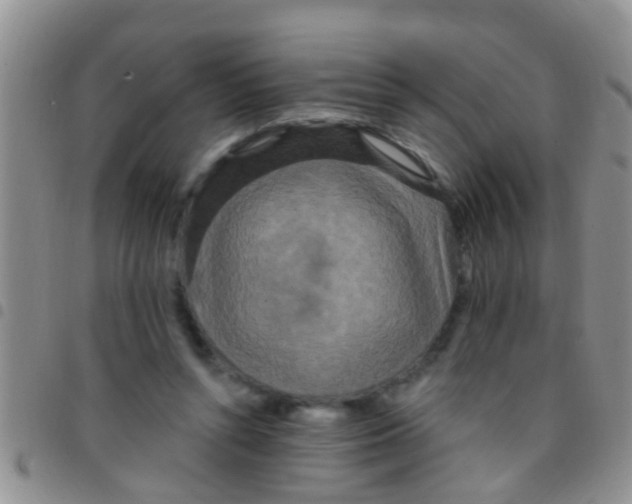 X0000097510352200803142046