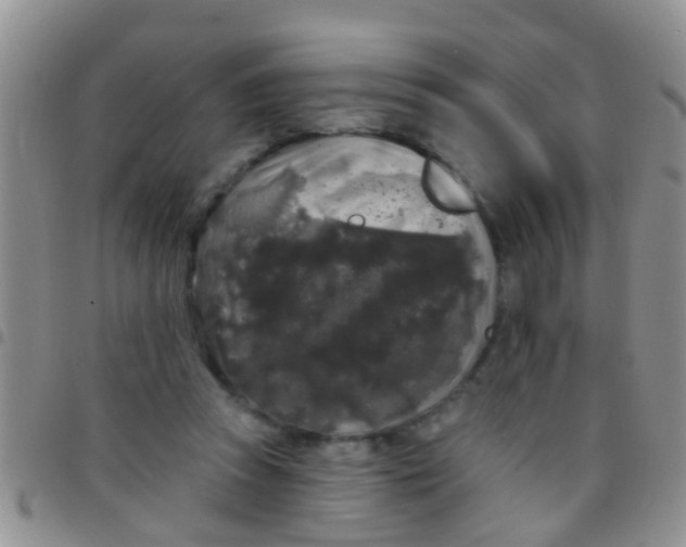 X0000097510353200803142046