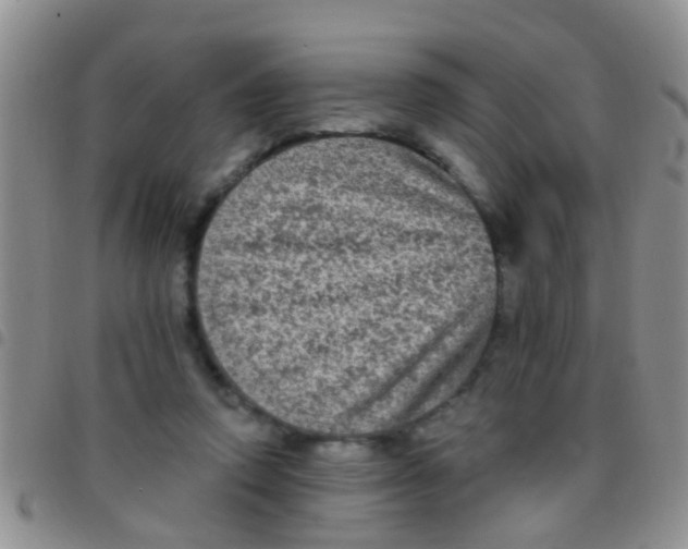 X0000097510354200803142046
