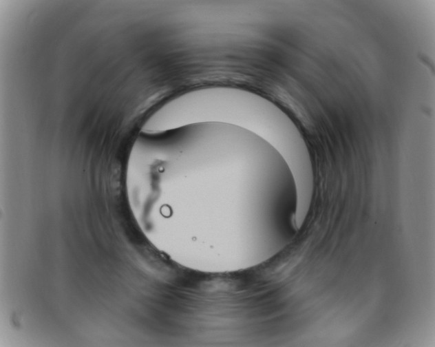 X0000097510356200803142046
