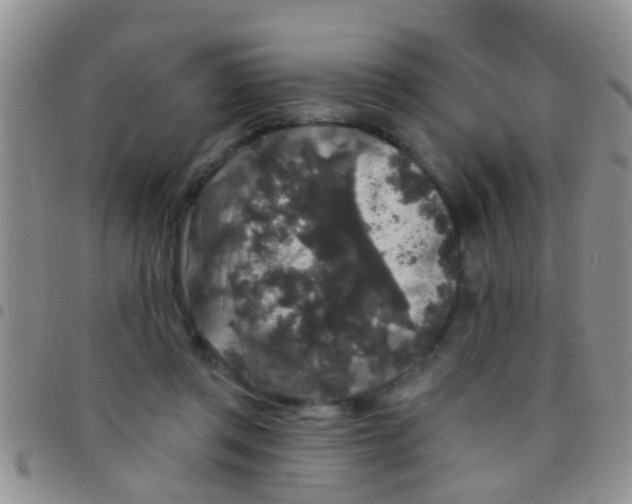 X0000097510357200803142046
