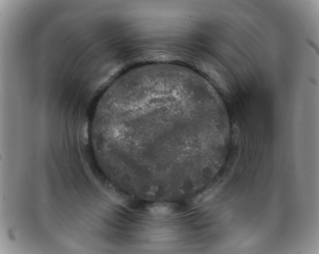 X0000097510358200803142046
