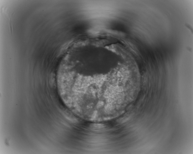 X0000097510361200803142046