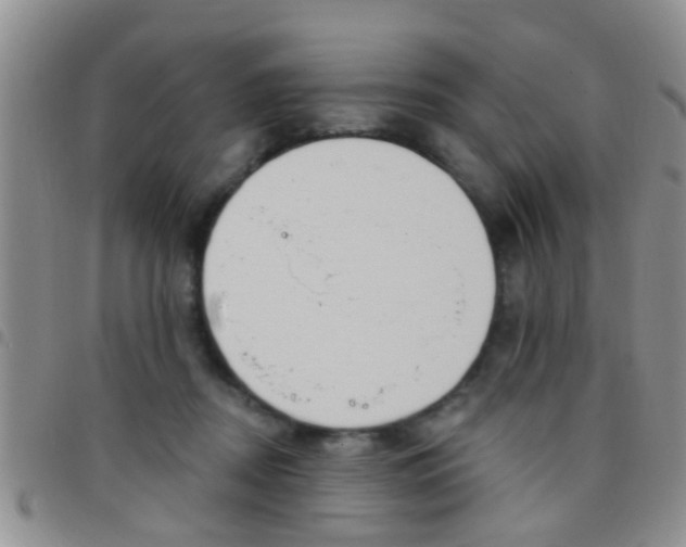X0000097510362200803142046