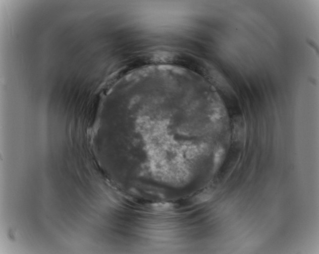 X0000097510363200803142046
