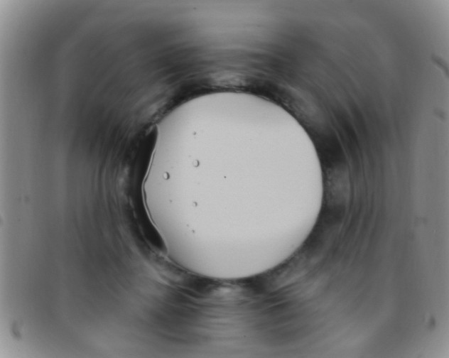 X0000097510364200803142046