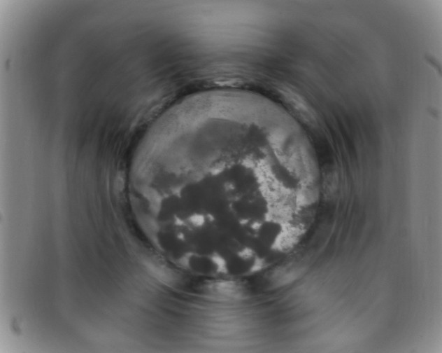 X0000097510365200803142046
