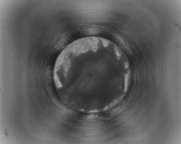 X0000097510366200803142046
