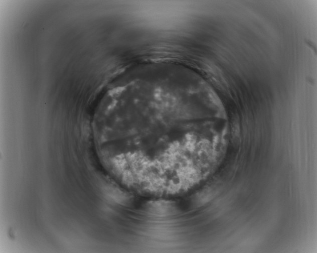 X0000097510367200803142046
