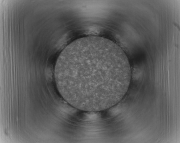 X0000097510370200803142046