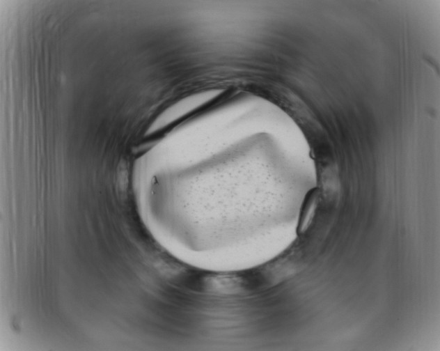 X0000097510372200803142046