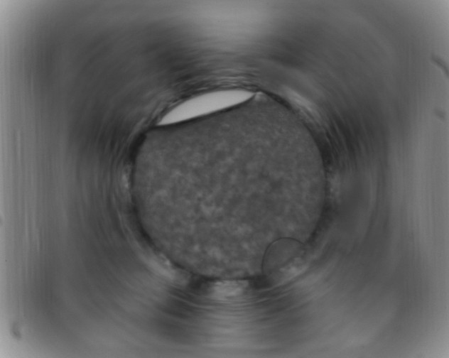 X0000097510373200803142046