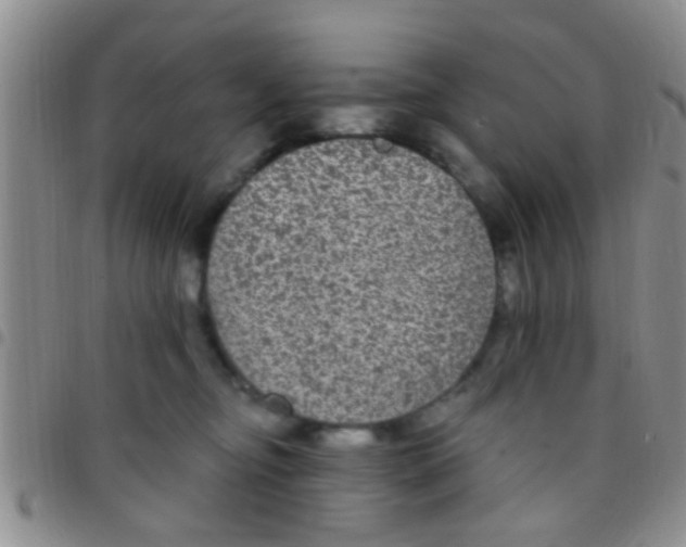 X0000097510374200803142046