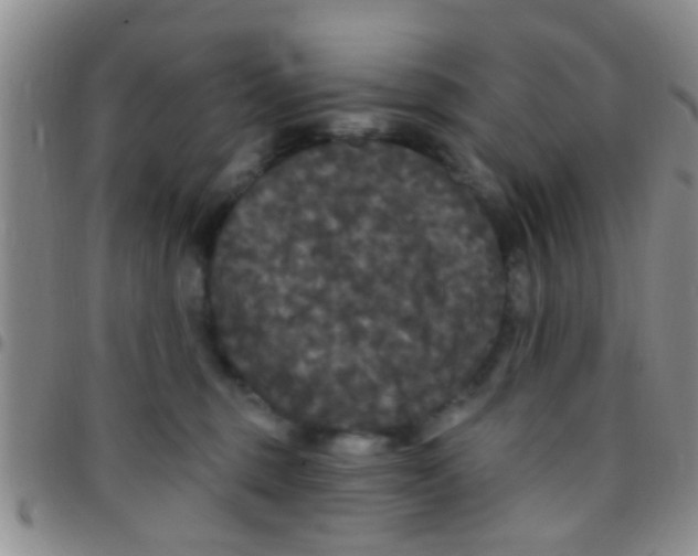 X0000097510375200803142046