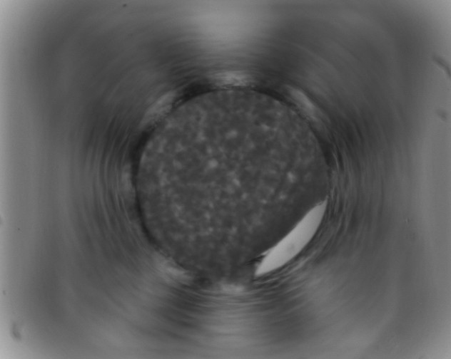 X0000097510377200803142046