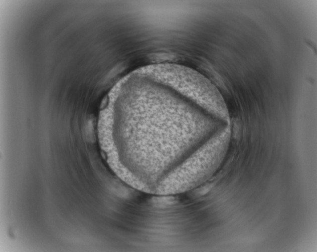 X0000097510378200803142046