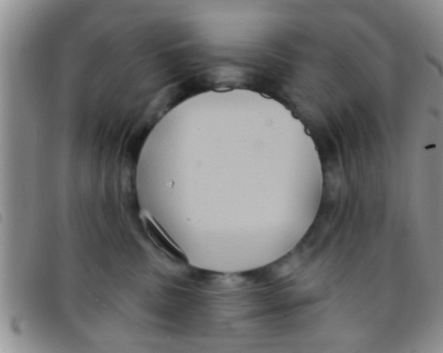 X0000097510379200803142046
