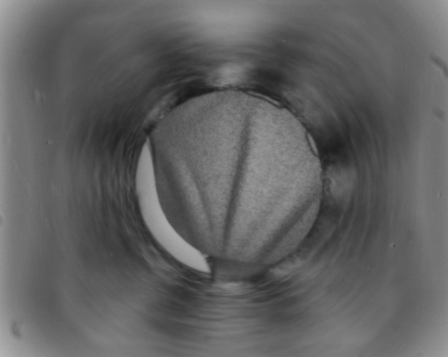 X0000097510380200803142046