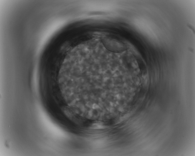 X0000097510381200803142046