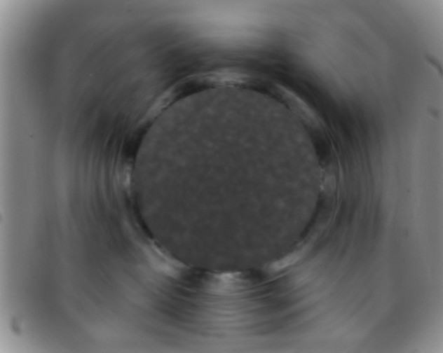 X0000097510382200803142046