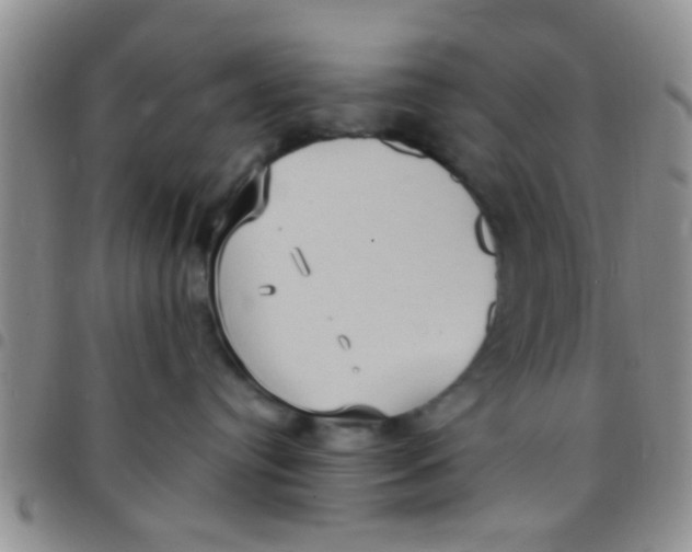 X0000097510384200803142046