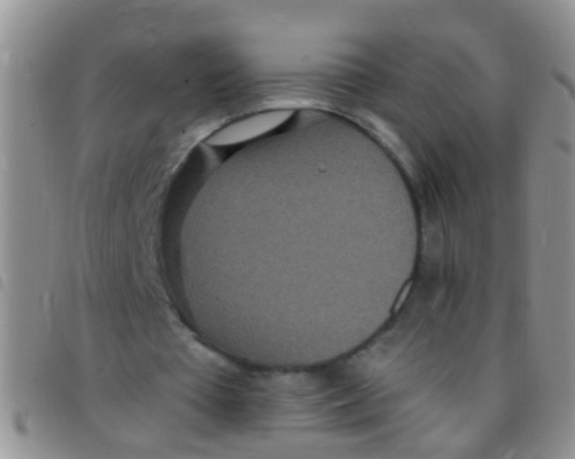 X0000097510385200803142046