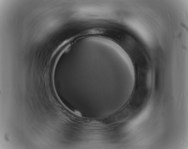 X0000097510387200803142046