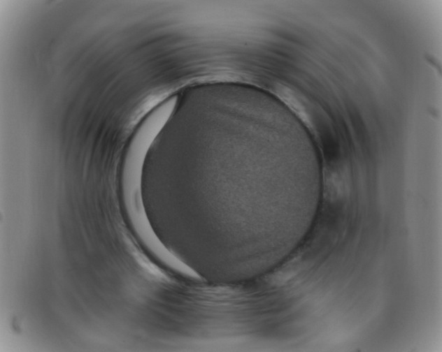 X0000097510389200803142046