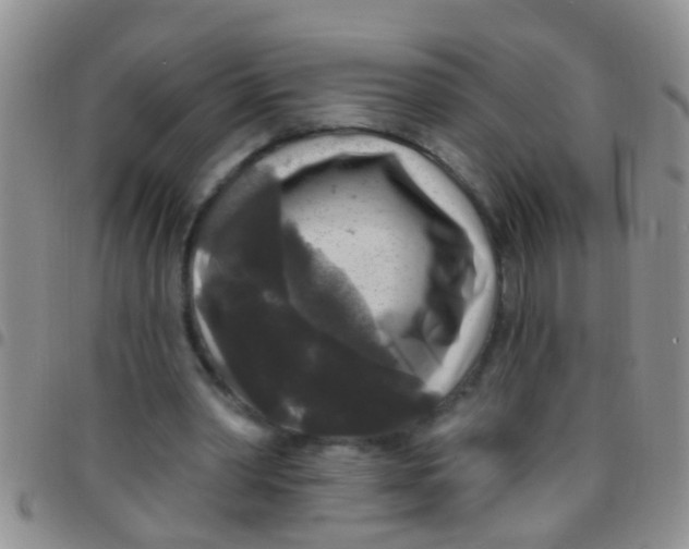 X0000097510390200803142046