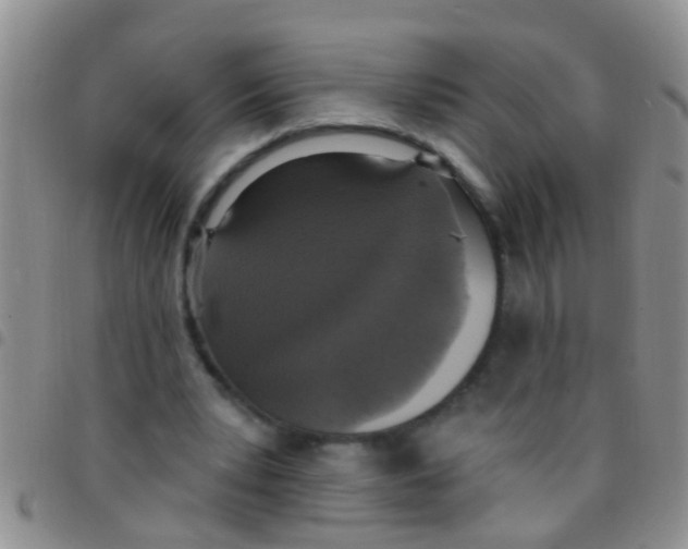 X0000097510391200803142046