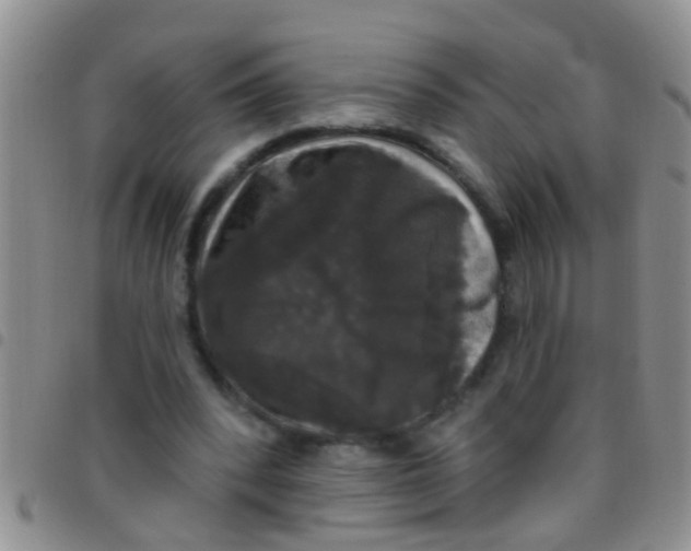 X0000097510392200803142046